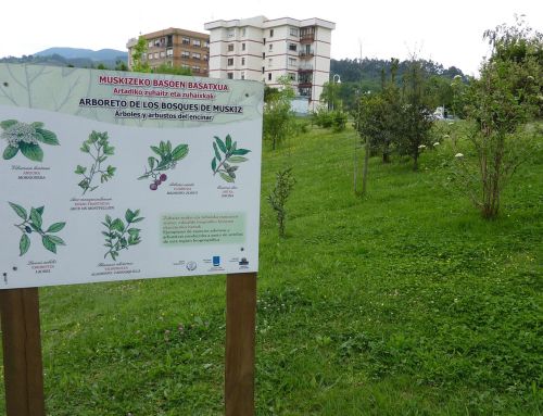 Arboreto de Muskiz