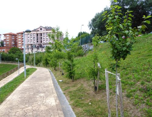 Parque Alberto Ezkurdia