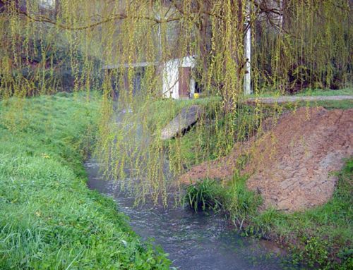 Arroyo Liendo