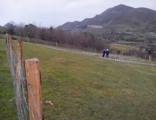 Bosque el Barracón (Ortuella)