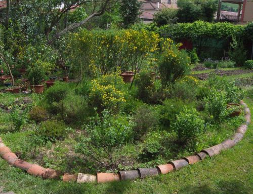 Jardin Toti martinez lecea