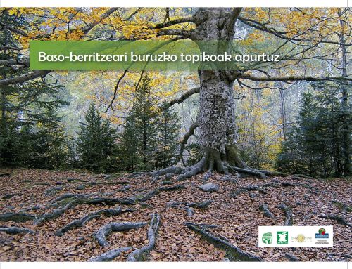 Libro Basoeskola