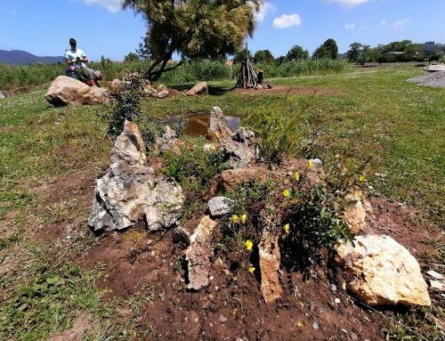 Mejora ambiental de la marismas de Colindres