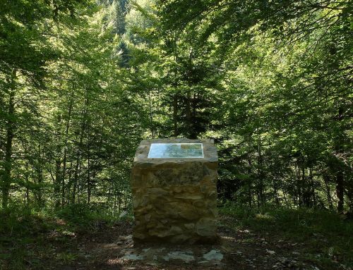 Selva de Irati. Urbeltza